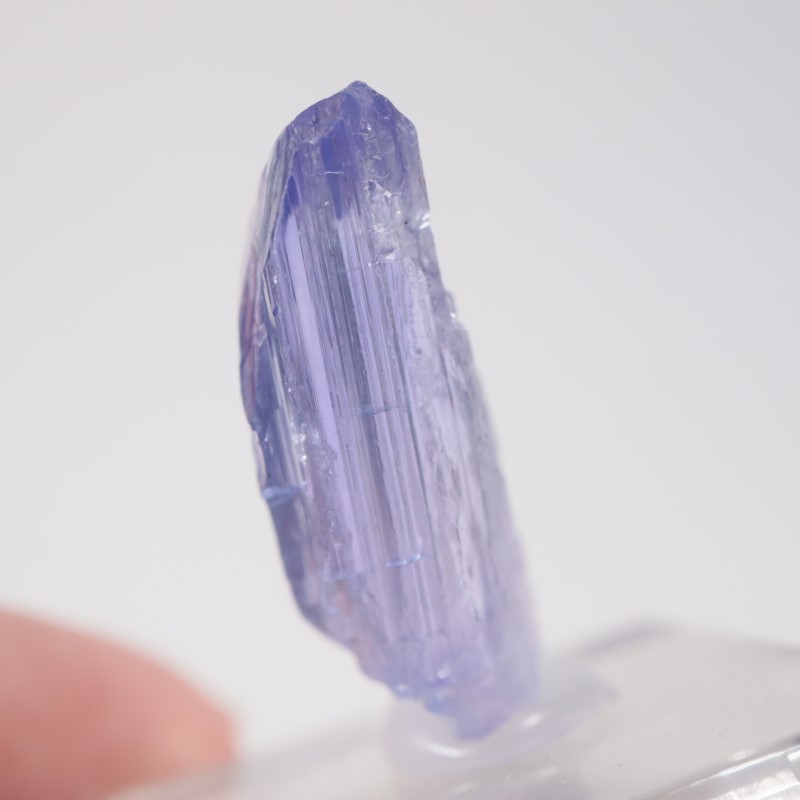 ����˥ҥ륺�� ���󥶥ʥ���