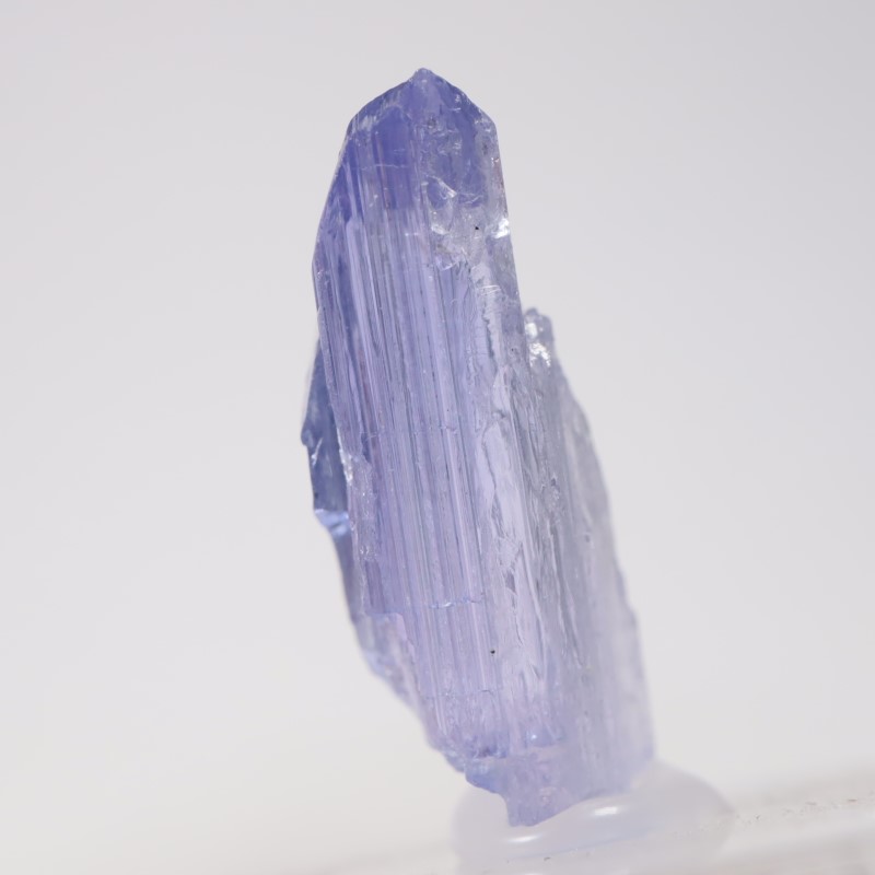 ����˥ҥ륺�� ���󥶥ʥ���