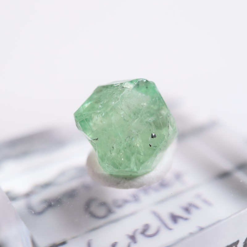 ����˥ҥ륺�� ��������顼�����ͥå�