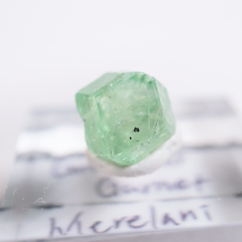 ����˥ҥ륺�� ��������顼�����ͥå�