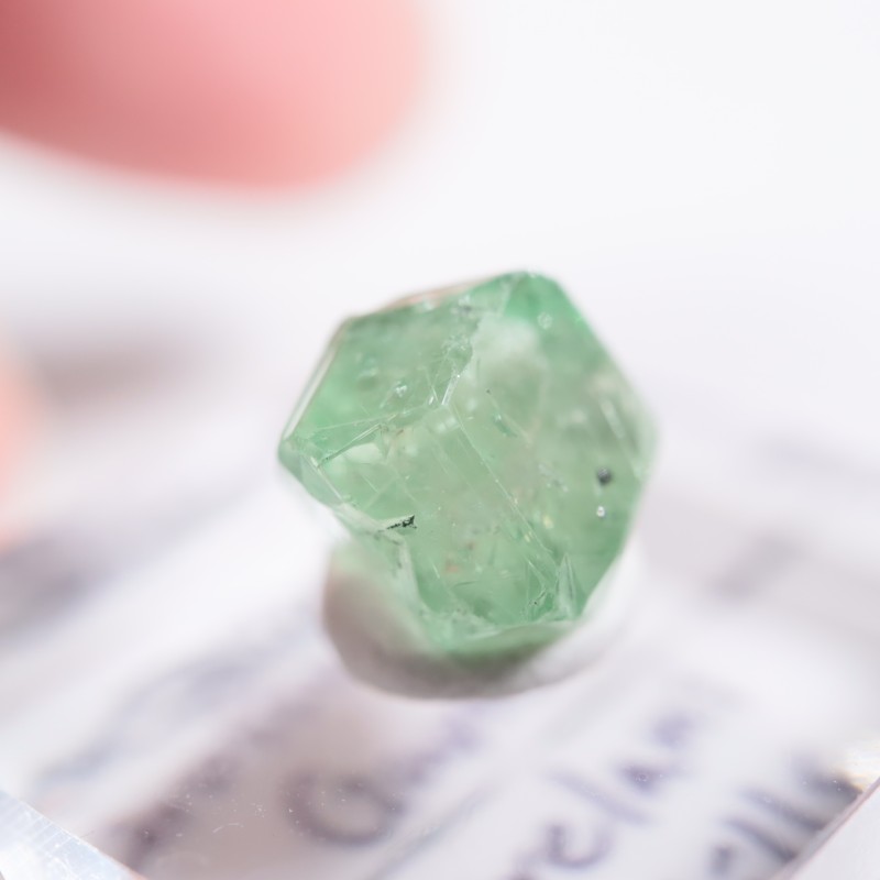 ����˥ҥ륺�� ��������顼�����ͥå�