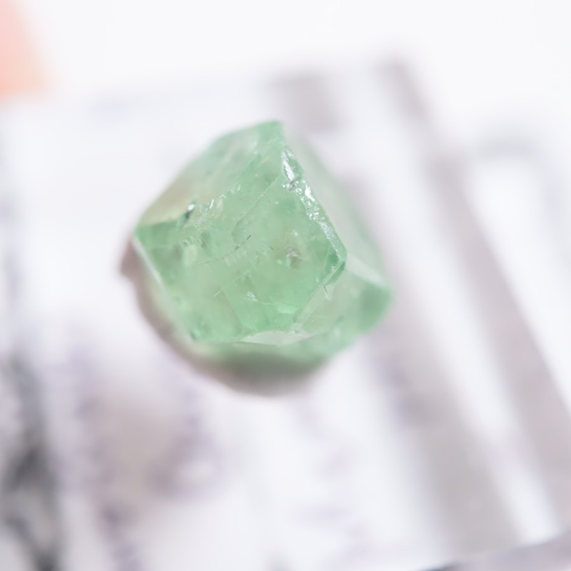 ����˥ҥ륺�� ��������顼�����ͥå�