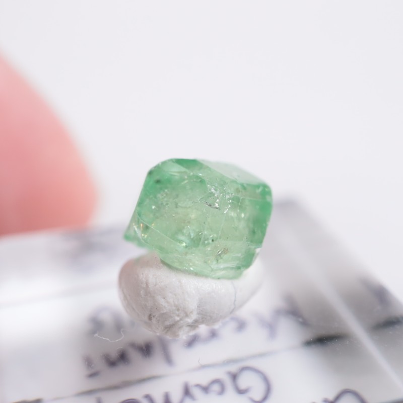 ����˥ҥ륺�� ��������顼�����ͥå�