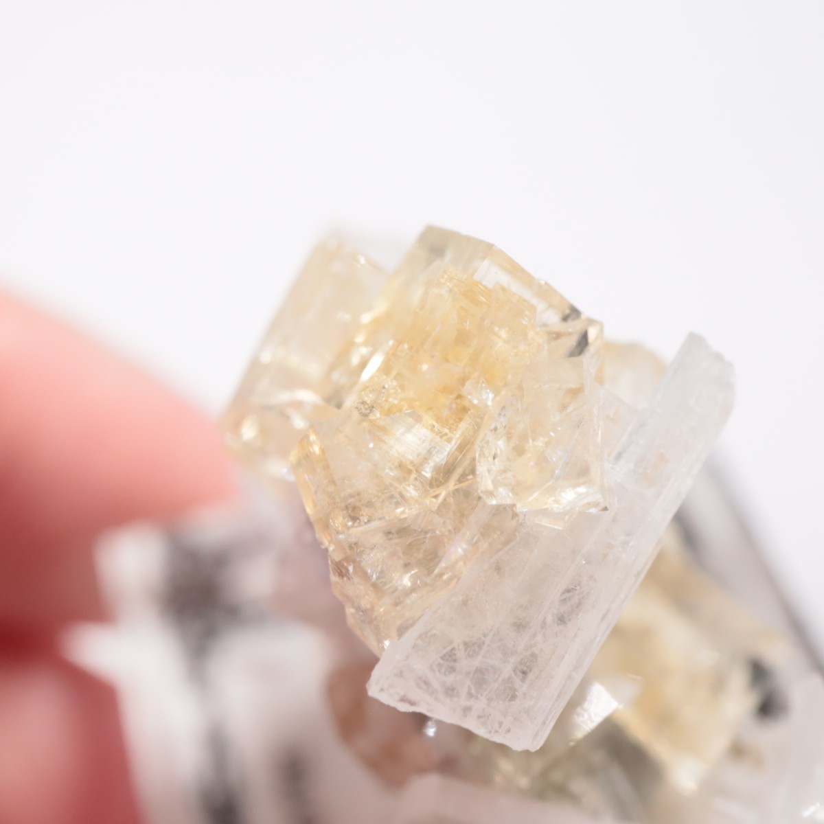 ���ϥ����� �ե����饤��