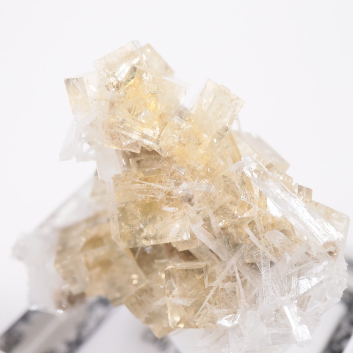 ���ϥ����� �ե����饤��