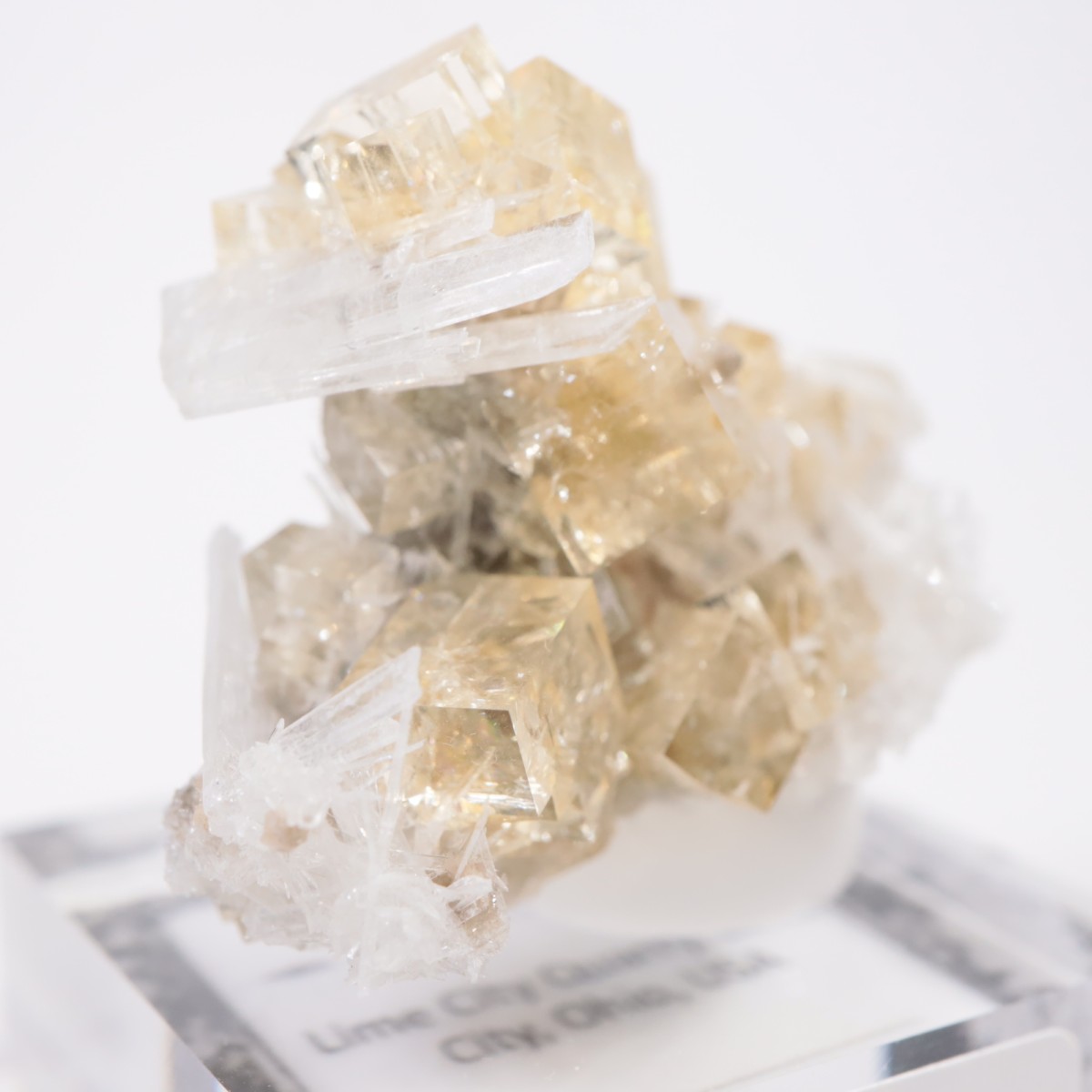 ���ϥ����� �ե����饤��