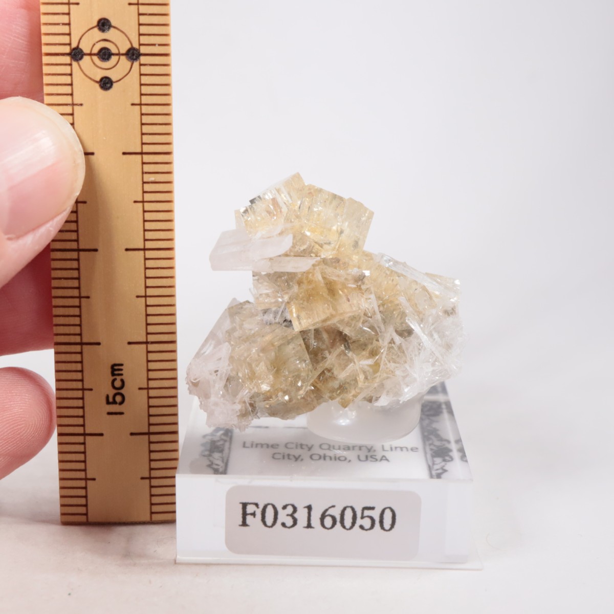 ���ϥ����� �ե����饤��