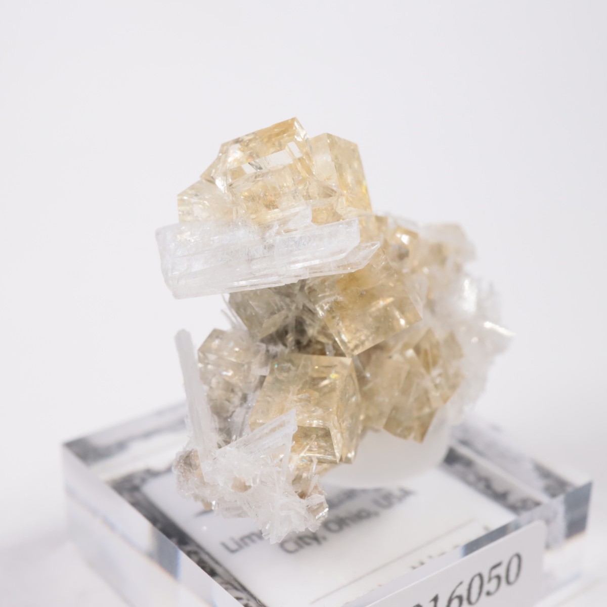 ���ϥ����� �ե����饤��