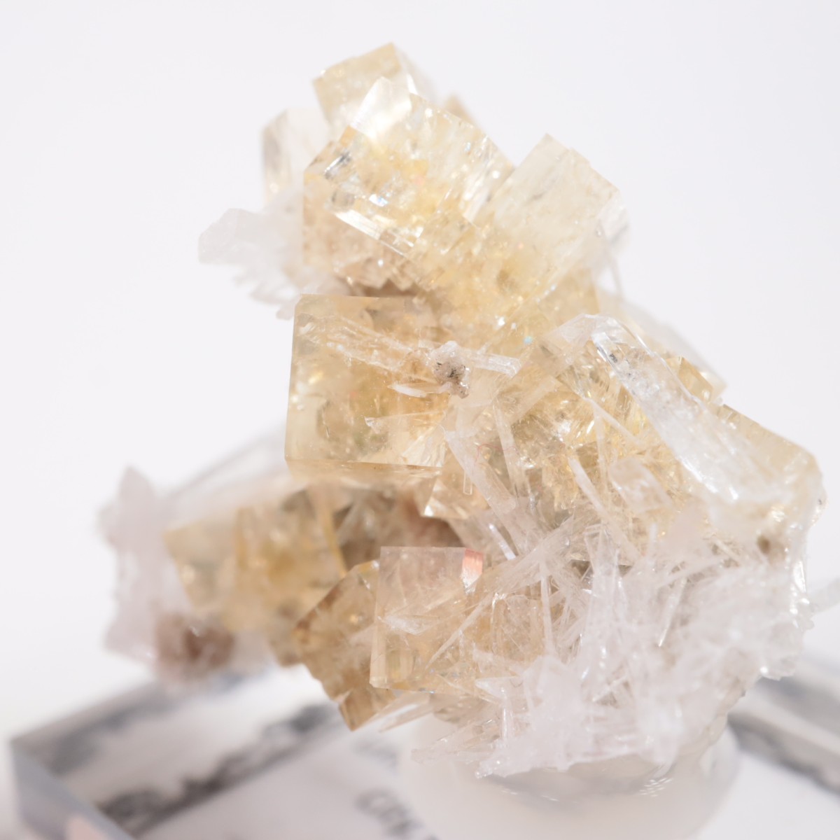 ���ϥ����� �ե����饤��