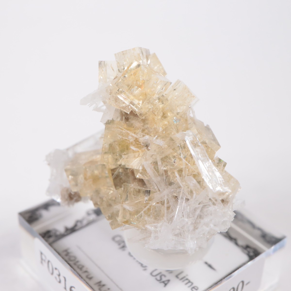 ���ϥ����� �ե����饤��