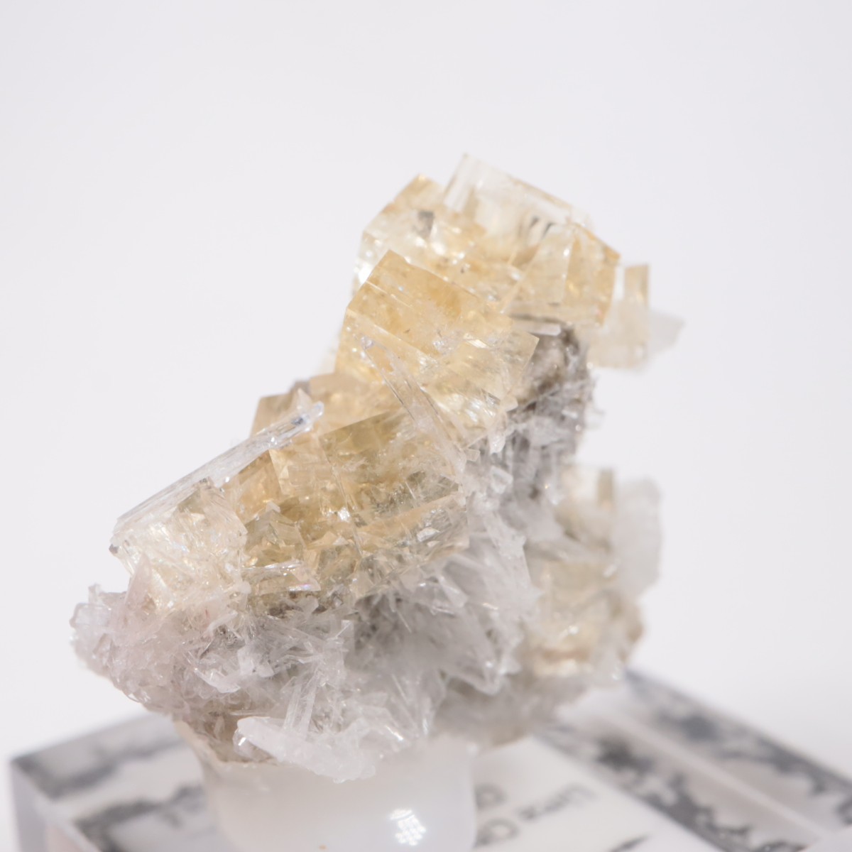 ���ϥ����� �ե����饤��