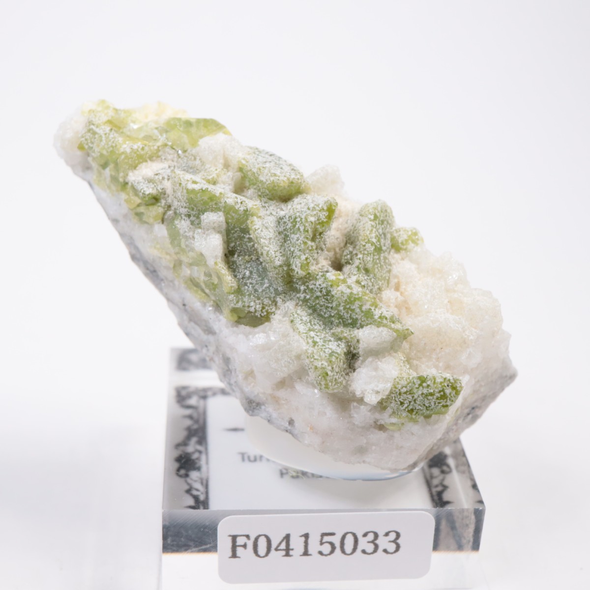 �ѥ������� �����ʥ���