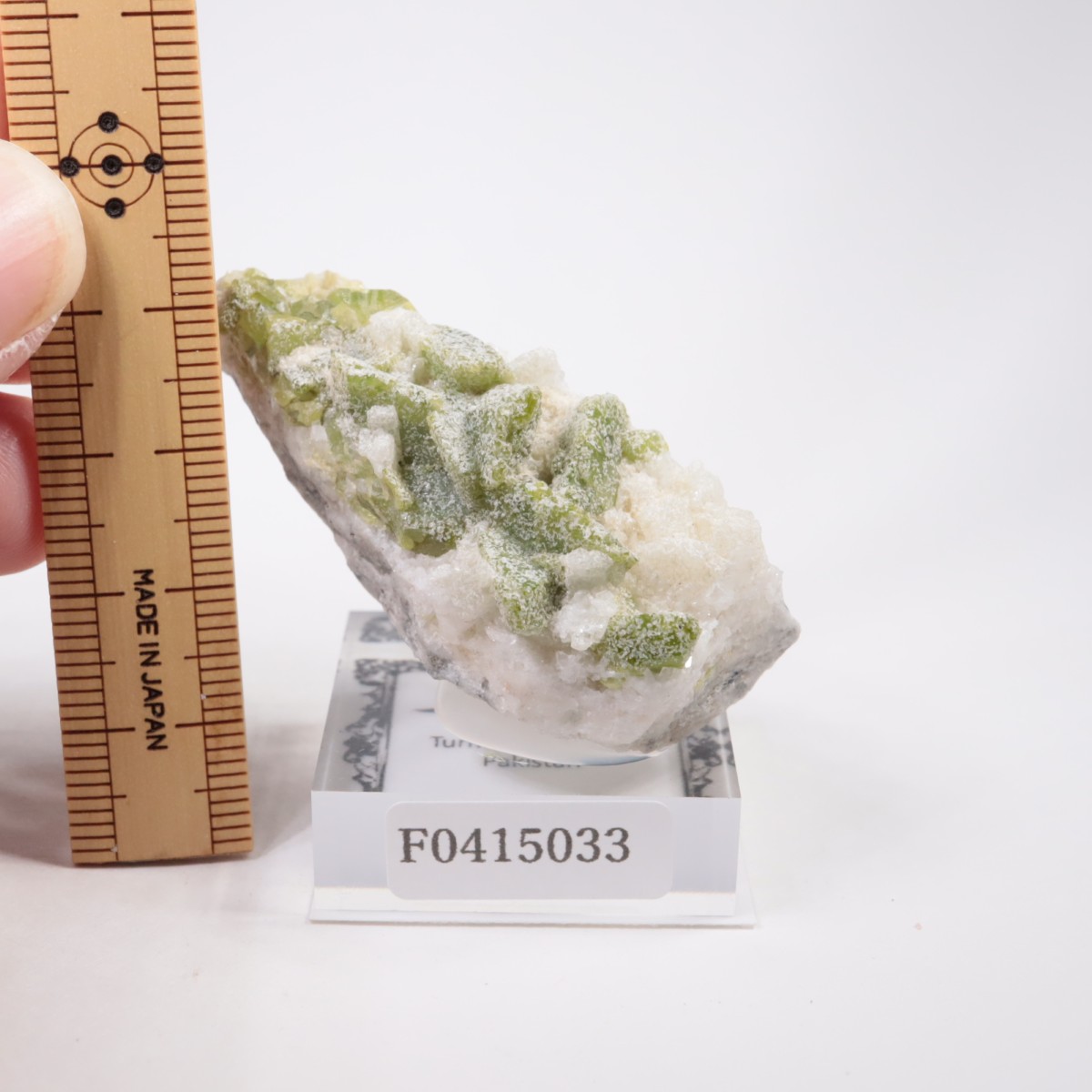 �ѥ������� �����ʥ���