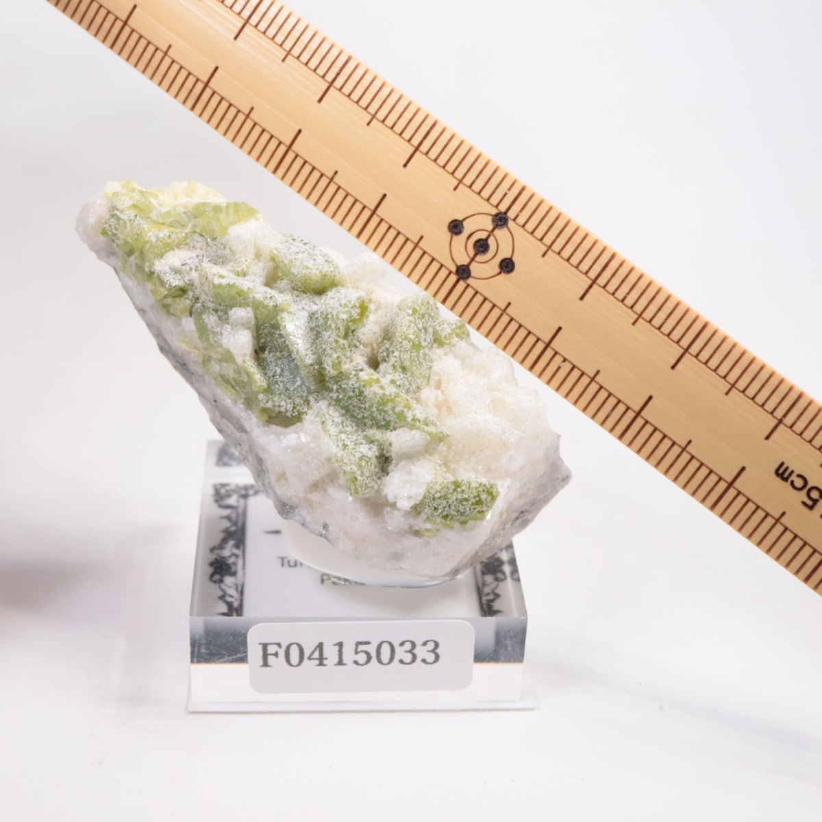 �ѥ������� �����ʥ���