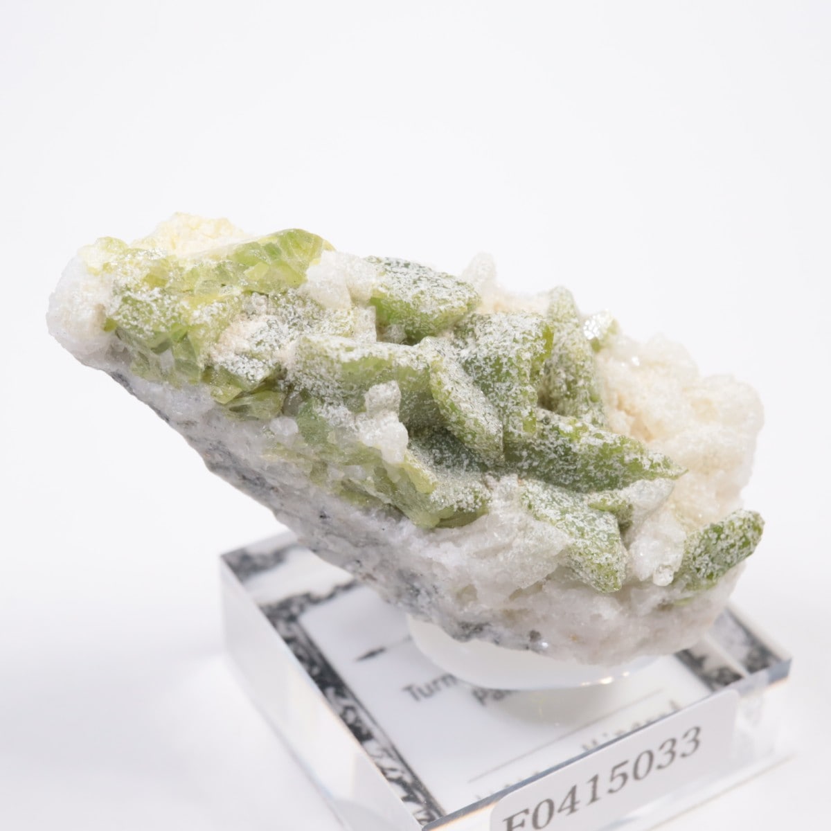 �ѥ������� �����ʥ���