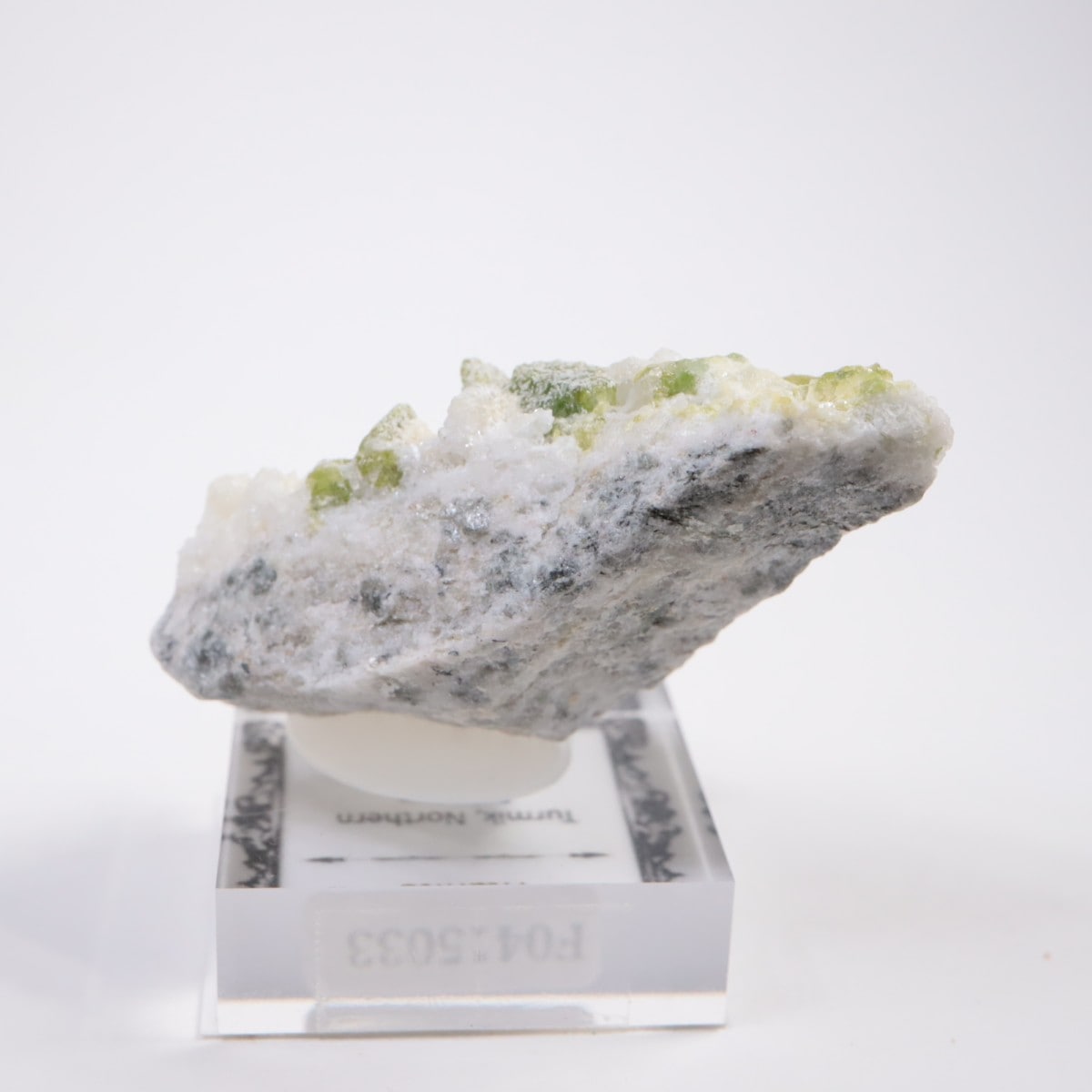 �ѥ������� �����ʥ���