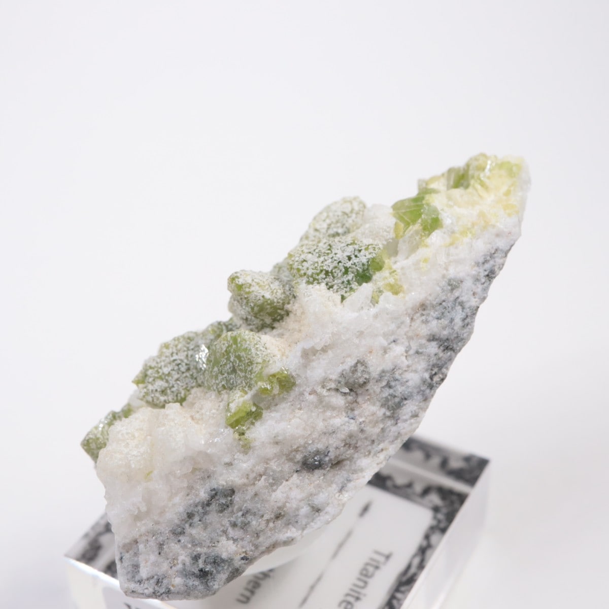 �ѥ������� �����ʥ���