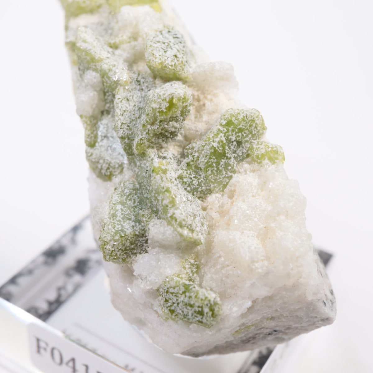 �ѥ������� �����ʥ���