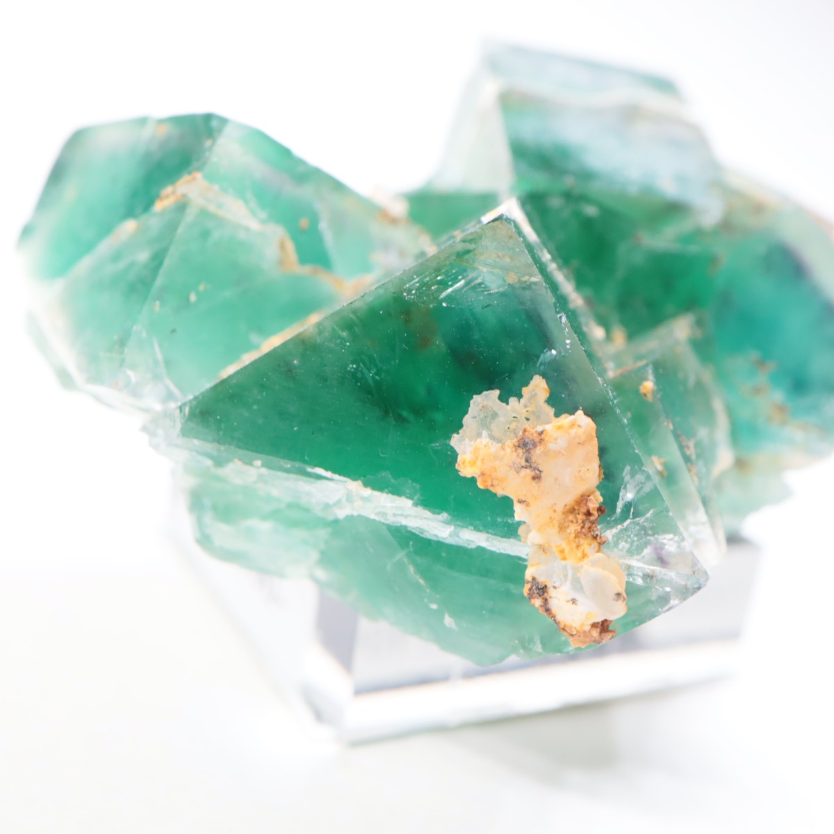 �����륹�ۻ��� �ե����饤��