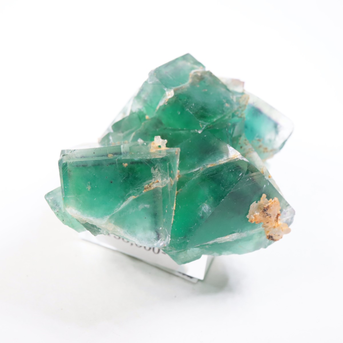 �����륹�ۻ��� �ե����饤��