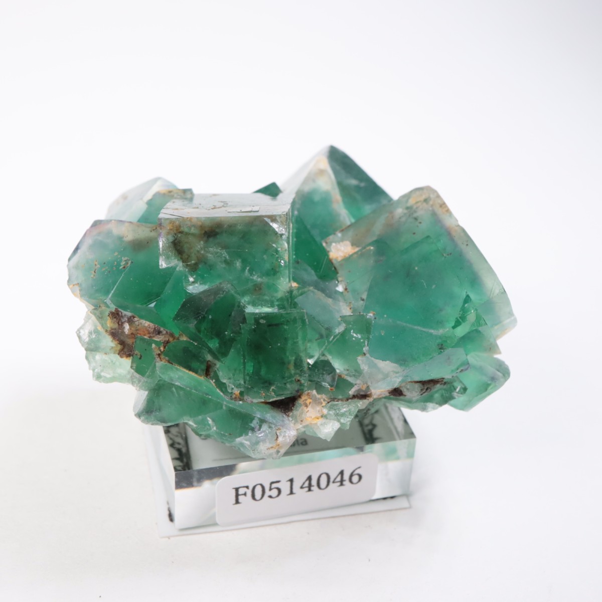 �����륹�ۻ��� �ե����饤��