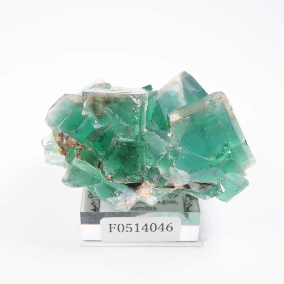 �����륹�ۻ��� �ե����饤��