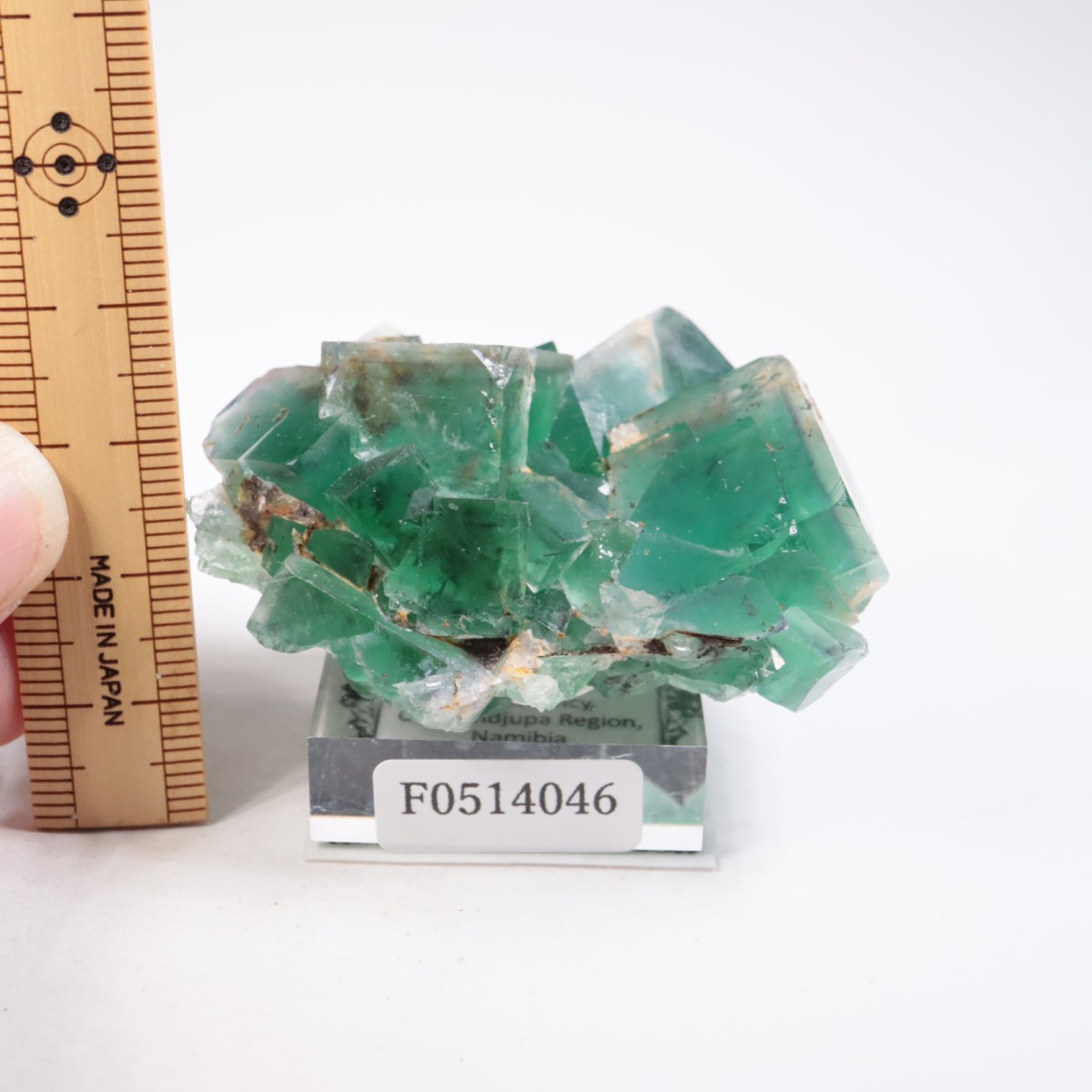 �����륹�ۻ��� �ե����饤��