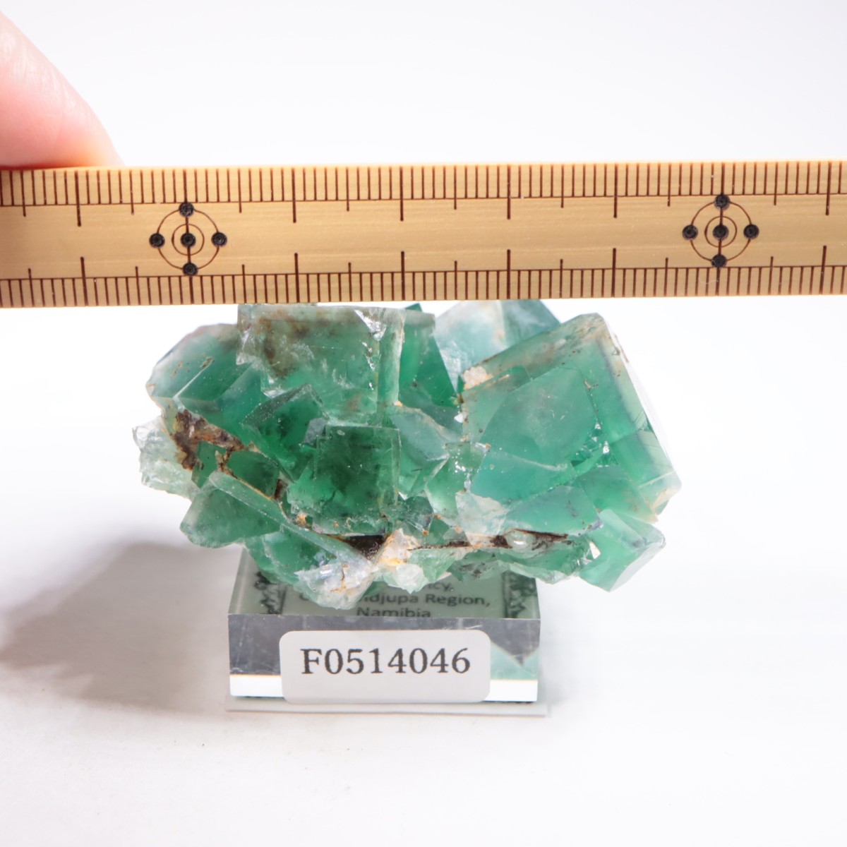 �����륹�ۻ��� �ե����饤��