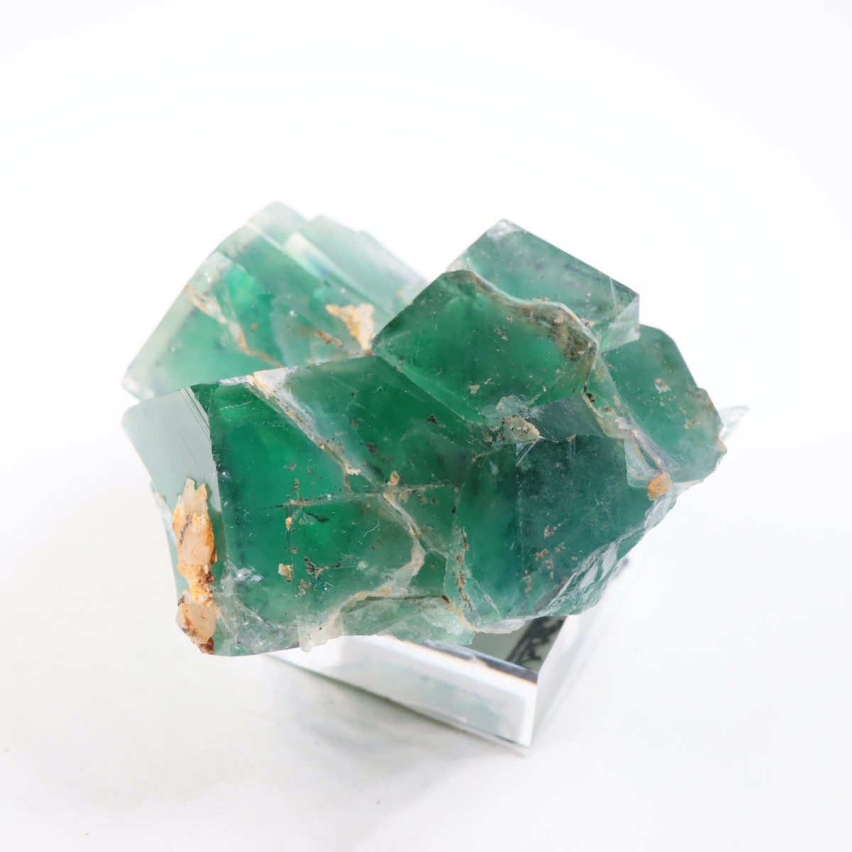 �����륹�ۻ��� �ե����饤��