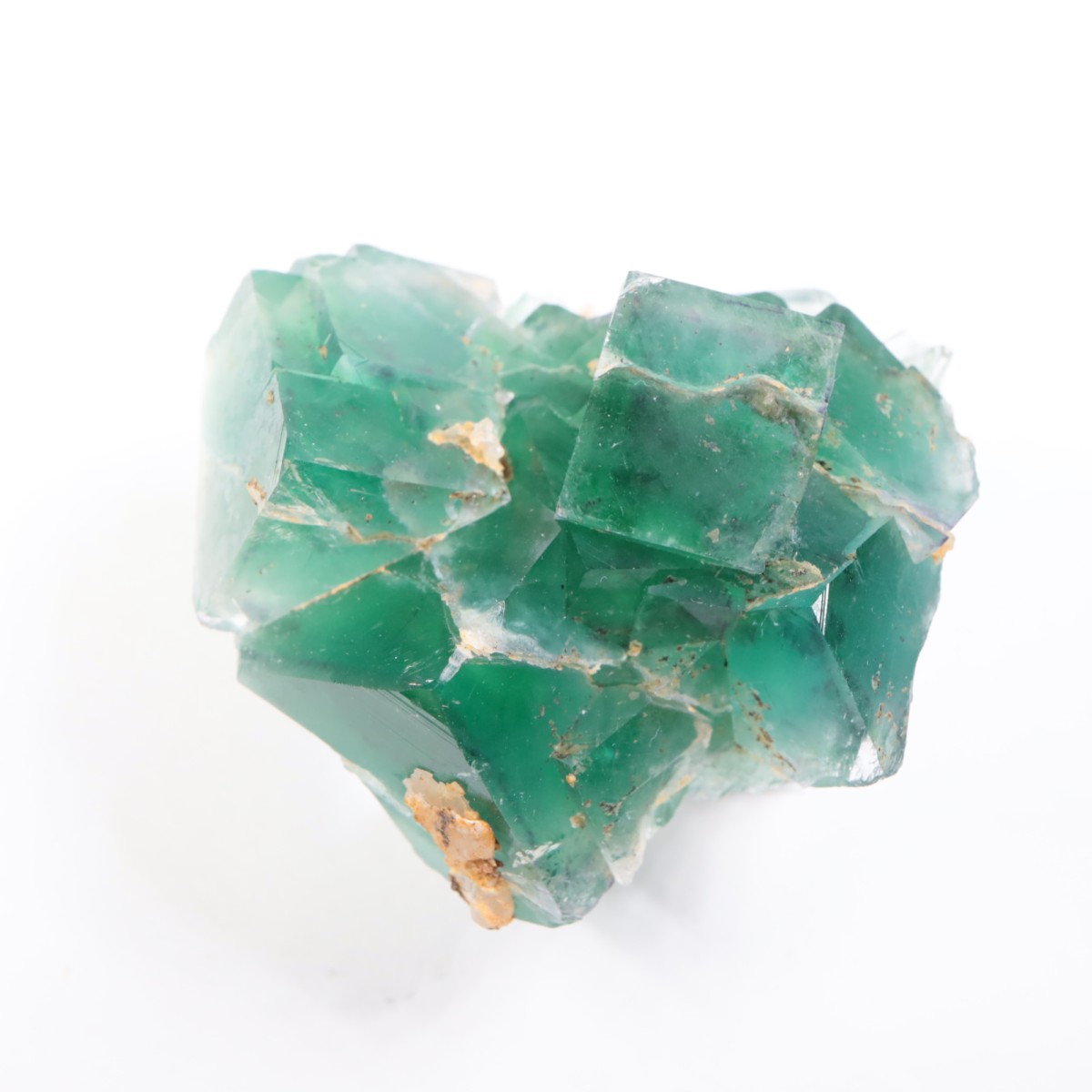 �����륹�ۻ��� �ե����饤��