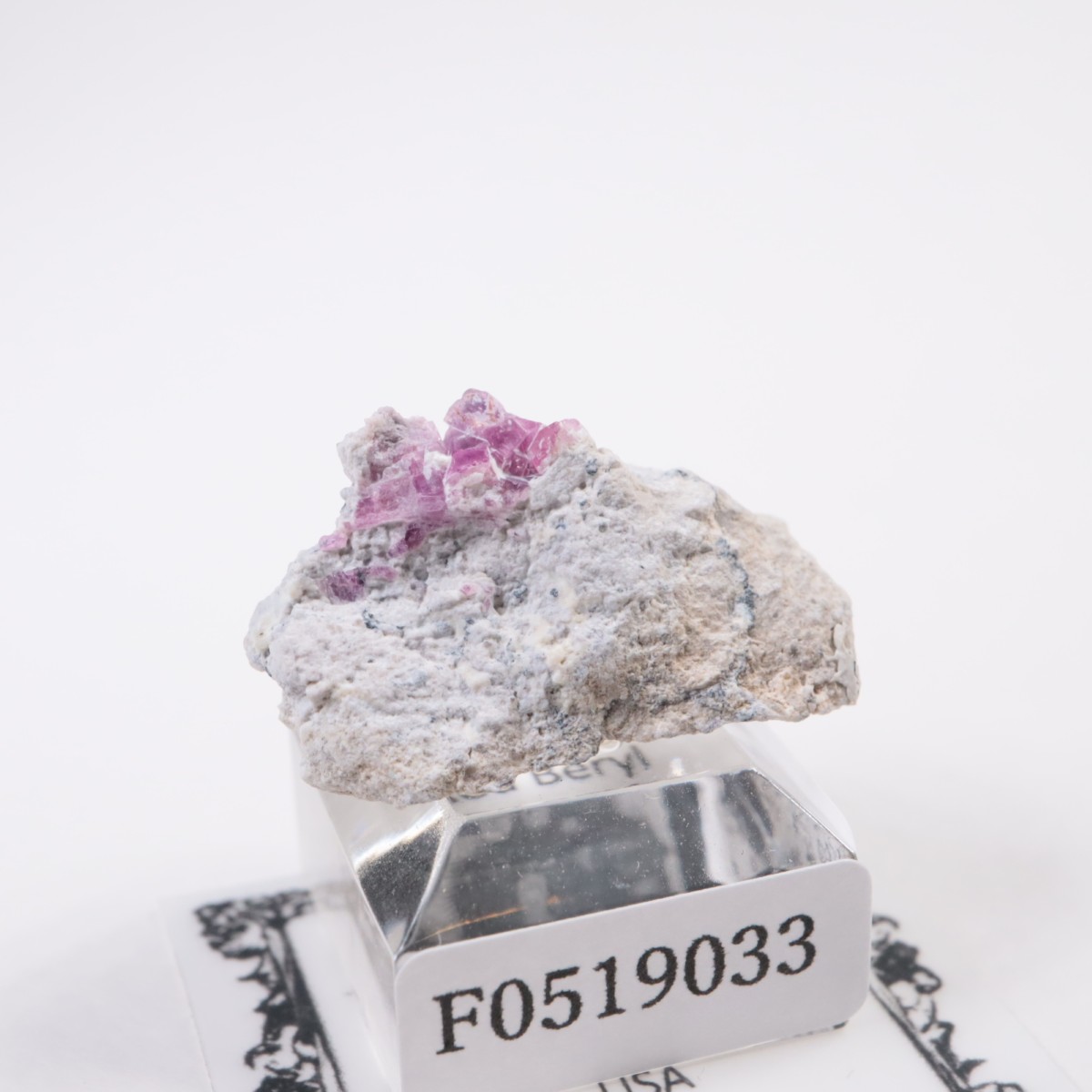 Ruby Violet Claim�� ��åɥ٥��