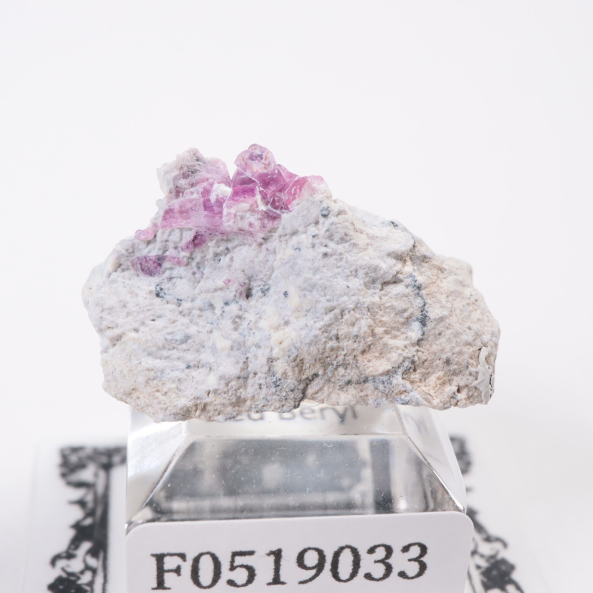 Ruby Violet Claim�� ��åɥ٥��