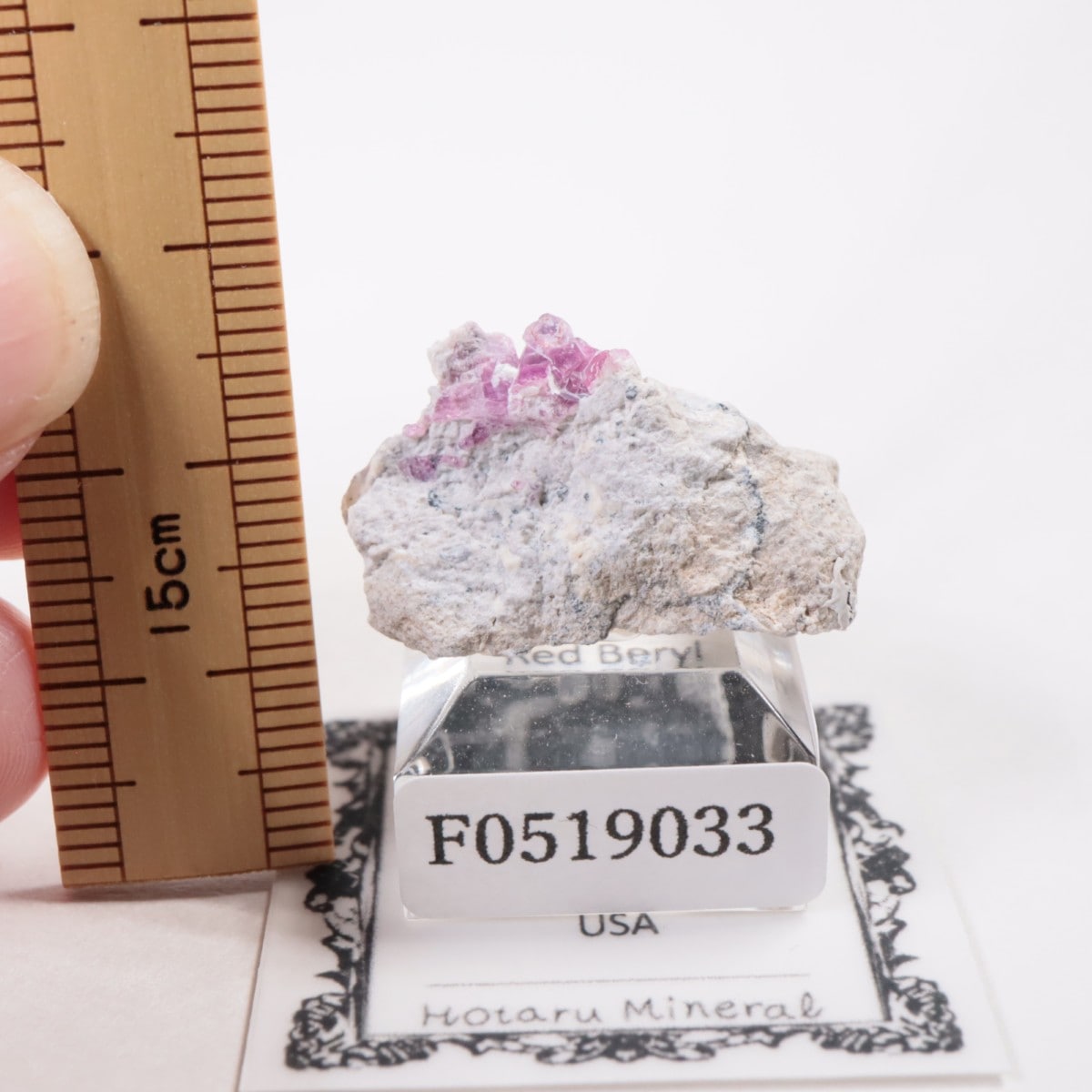 Ruby Violet Claim�� ��åɥ٥��