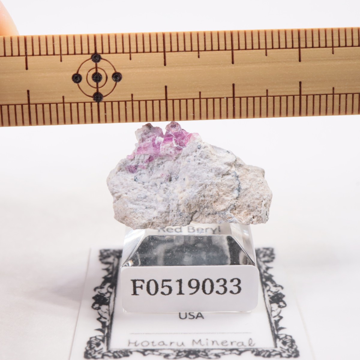 Ruby Violet Claim�� ��åɥ٥��