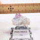 Ruby Violet Claim�� ��åɥ٥��