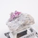 Ruby Violet Claim�� ��åɥ٥��