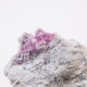 Ruby Violet Claim�� ��åɥ٥��