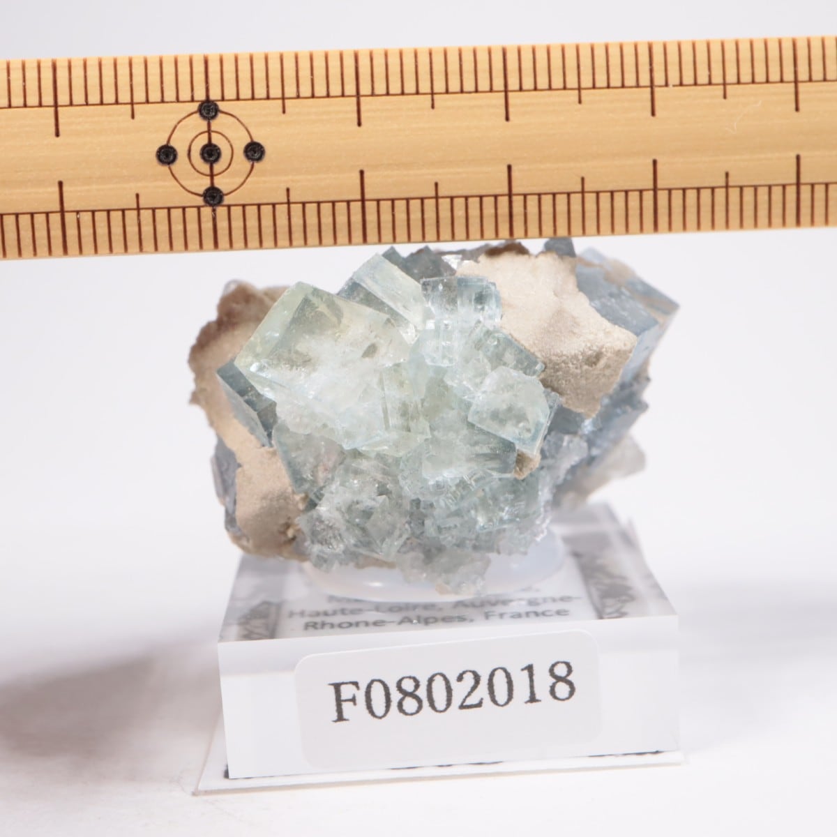 フランス産　フローライト×クォーツ　蛍石水晶　鉱物標本 フランス産 フローライト | 鉱物標本,ハ行,フローライト/蛍石