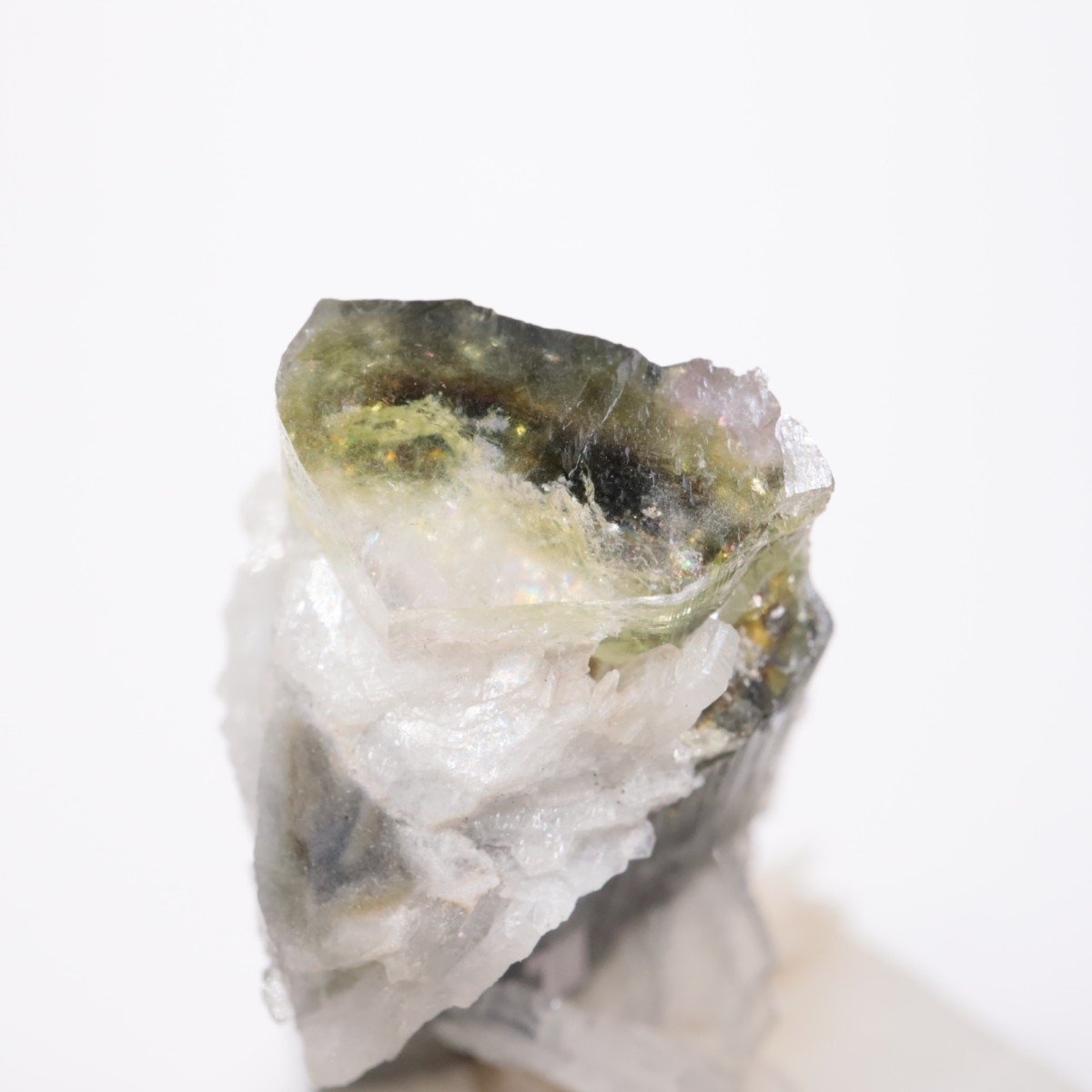 �֥饸�뻺 �ȥ�ޥ��