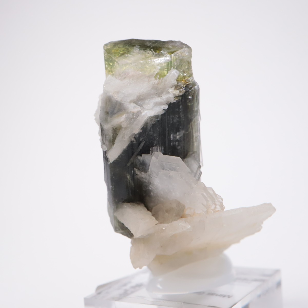 �֥饸�뻺 �ȥ�ޥ��