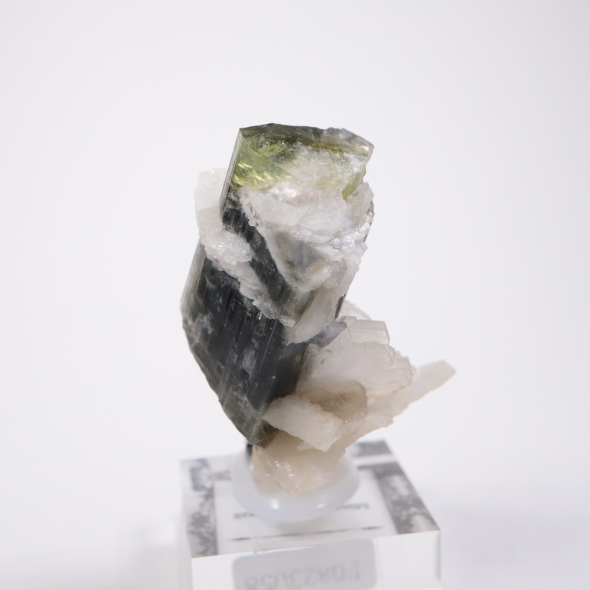 �֥饸�뻺 �ȥ�ޥ��