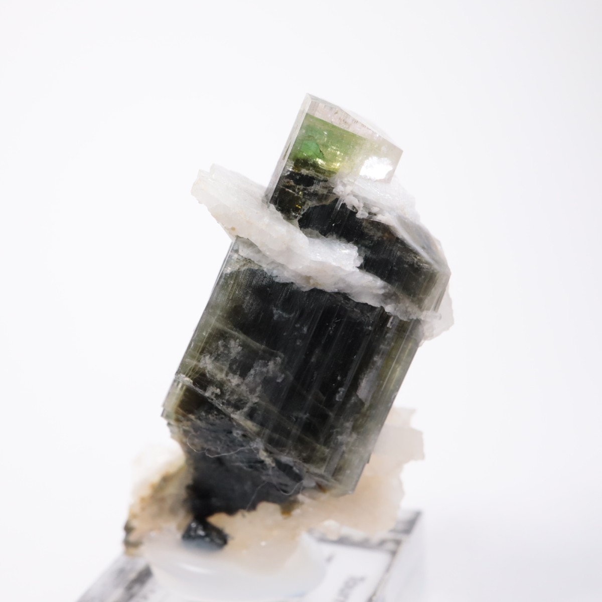 �֥饸�뻺 �ȥ�ޥ��