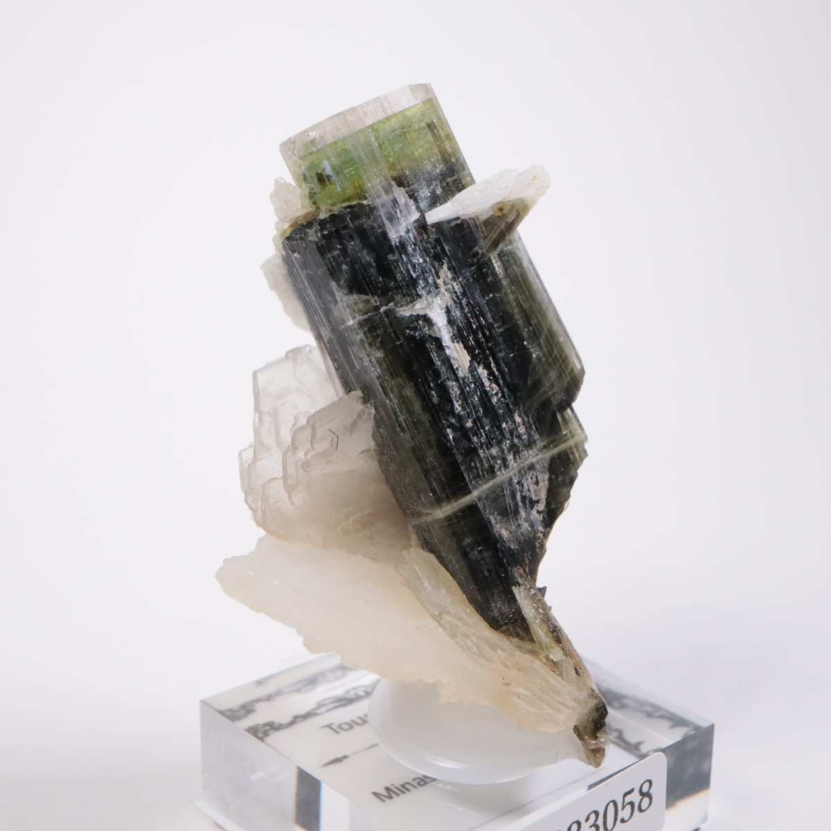 �֥饸�뻺 �ȥ�ޥ��