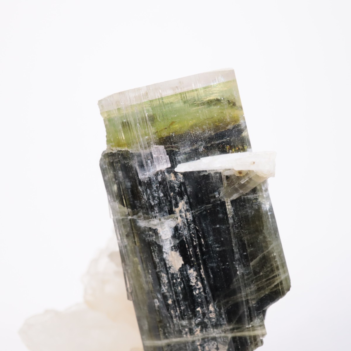 �֥饸�뻺 �ȥ�ޥ��