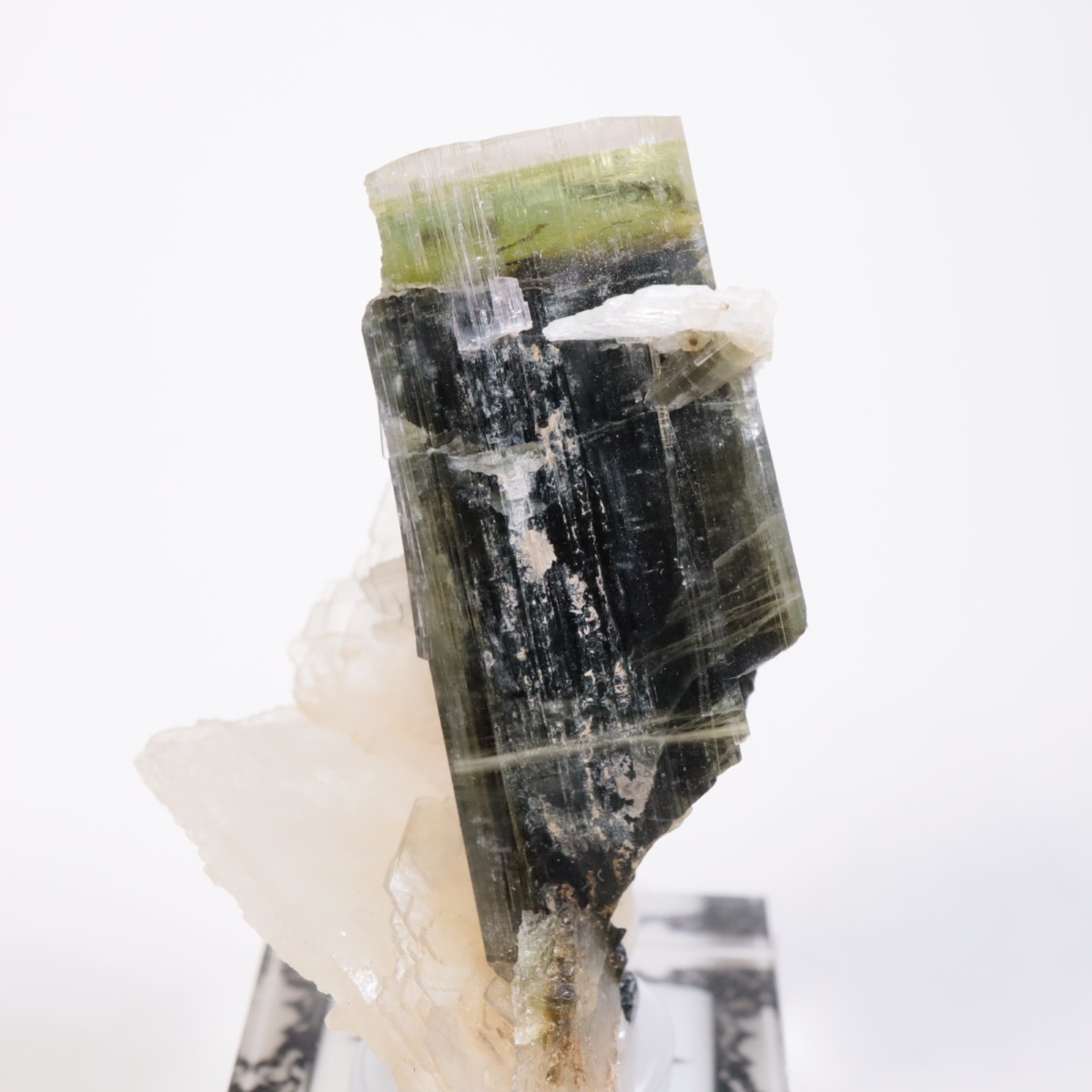 �֥饸�뻺 �ȥ�ޥ��