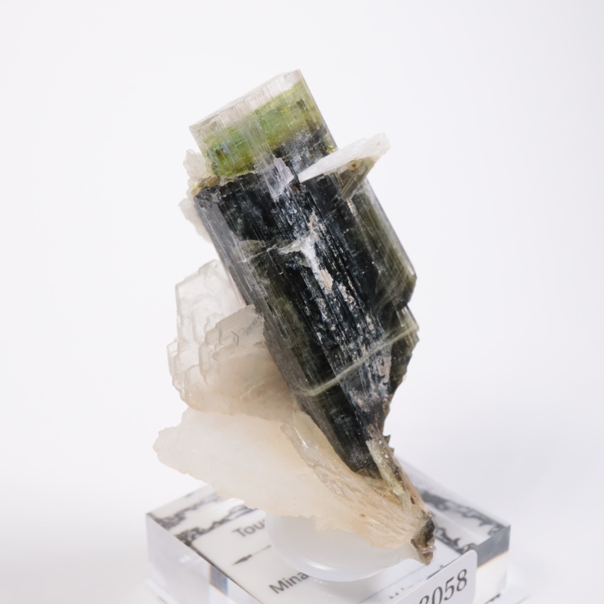 �֥饸�뻺 �ȥ�ޥ��