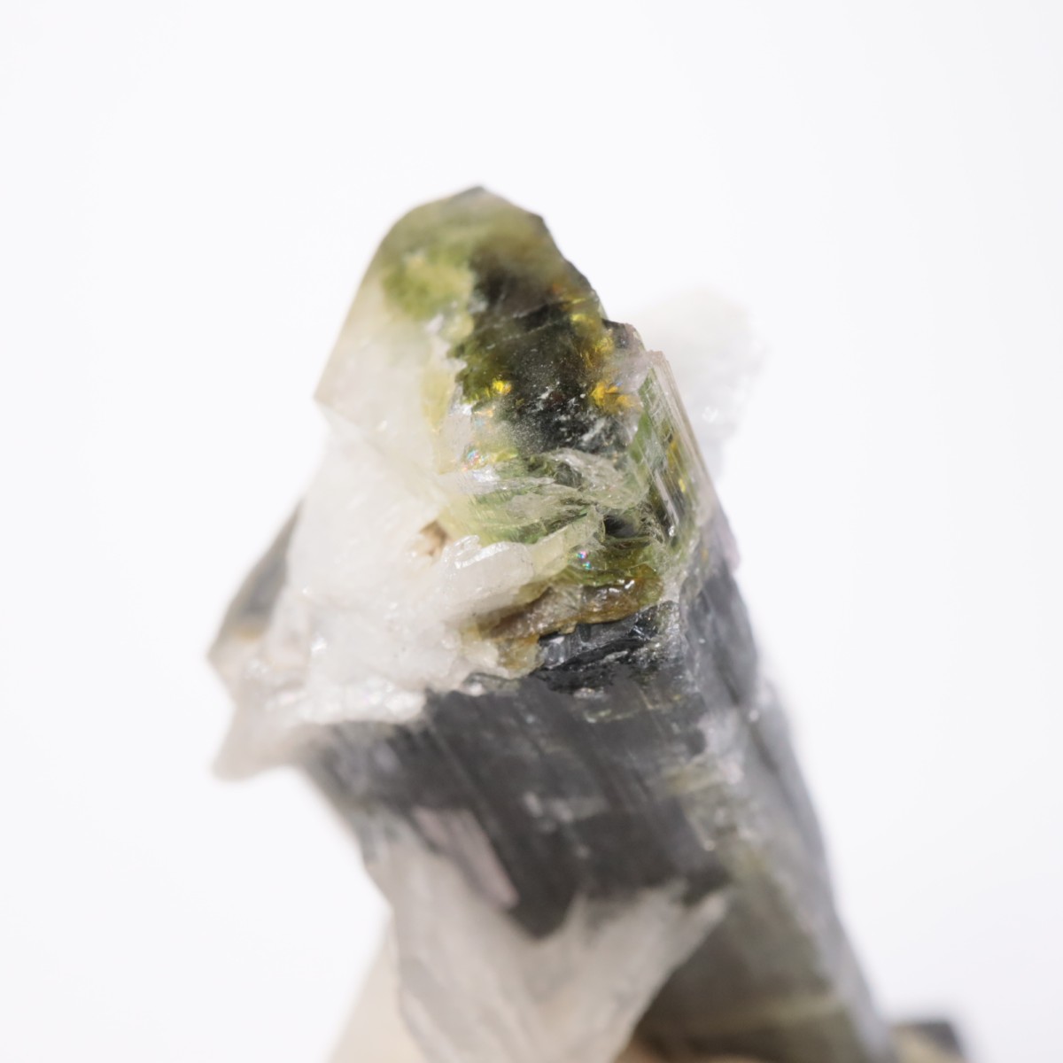 �֥饸�뻺 �ȥ�ޥ��