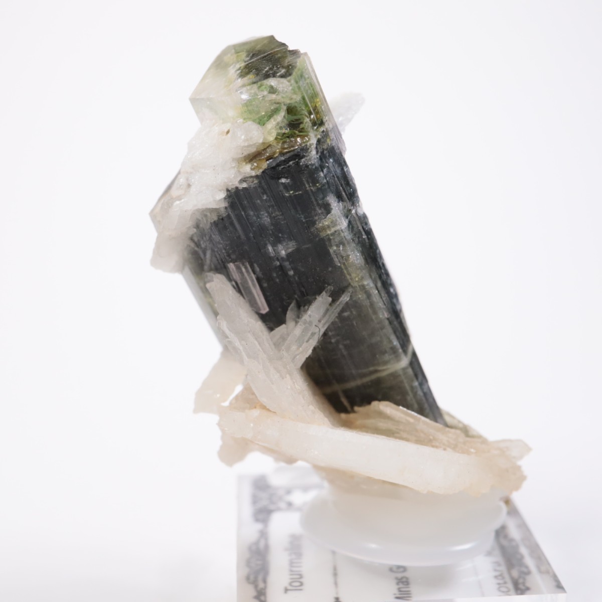 �֥饸�뻺 �ȥ�ޥ��