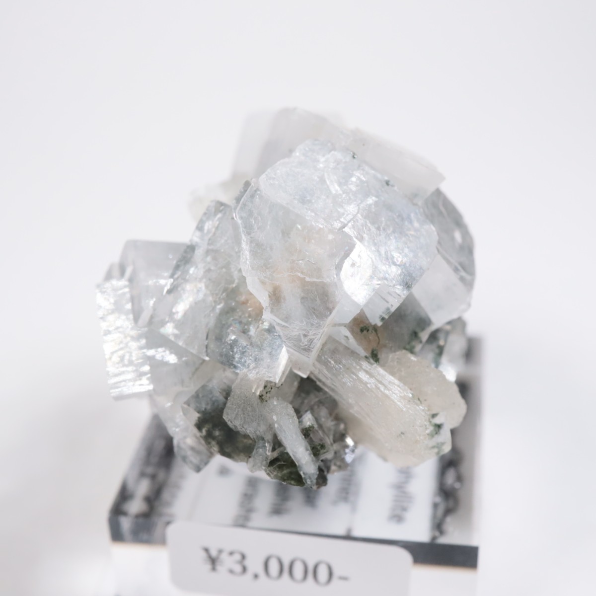 ����ɻ� ���ݥե��饤��