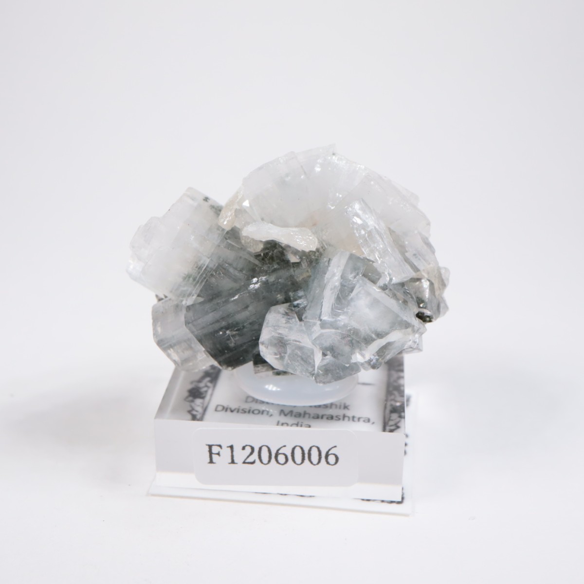 ����ɻ� ���ݥե��饤��